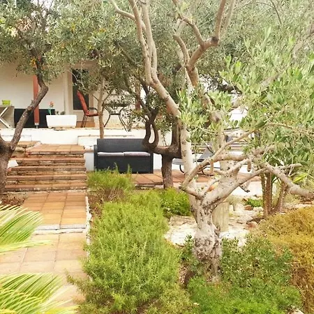 Holiday Stari Grad Stari Grad (Hvar)